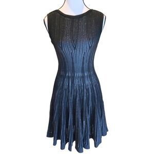 NWT KRMA Los Angeles Metallic Silver Striped Ribbed Knit Skater Dress XS New